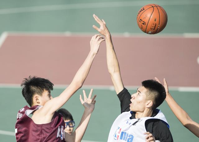 青青操免费在线视频