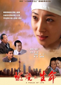 国外免费精品视频在线观看