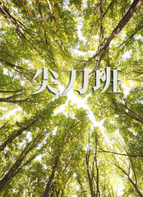 成人精品区
