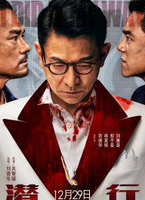 国产精品久久久久久久久鸭